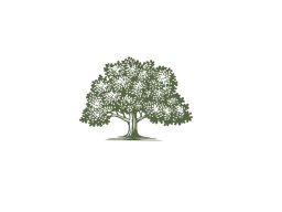 Tree Icon